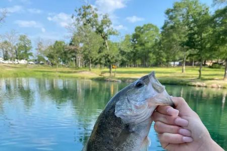 Huntsville RV Park