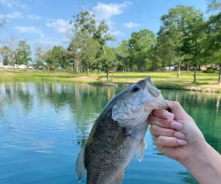 Huntsville RV Park