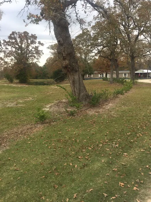 Cedar Oaks Rv Camp 10