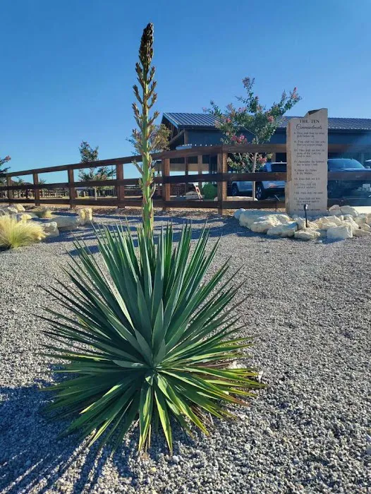 YELLOWROSE RV RESORT 3