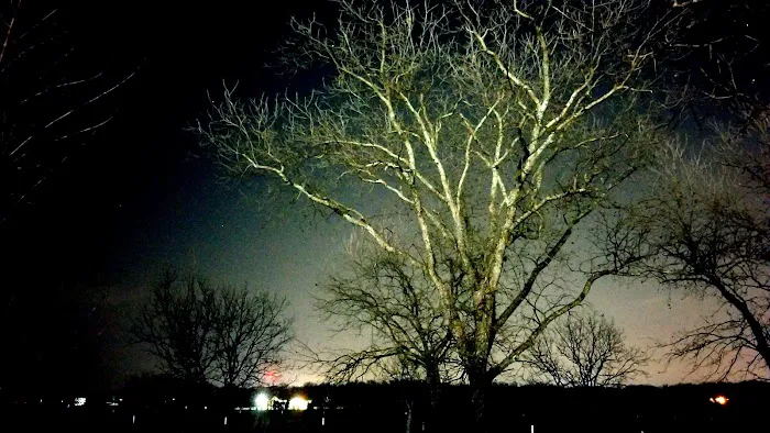Pecan Acres RV Park 8