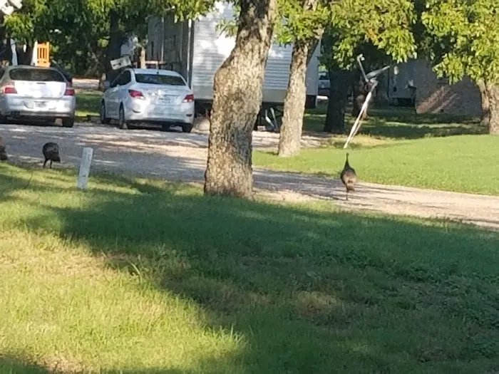 Pecan Acres RV Park 6