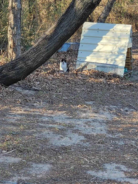 Pecan Acres RV Park 10