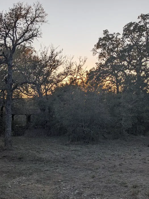 Mohave Campground 3
