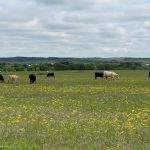 Big Country RV Park