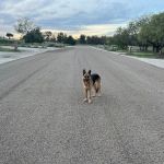City Limits RV Resort