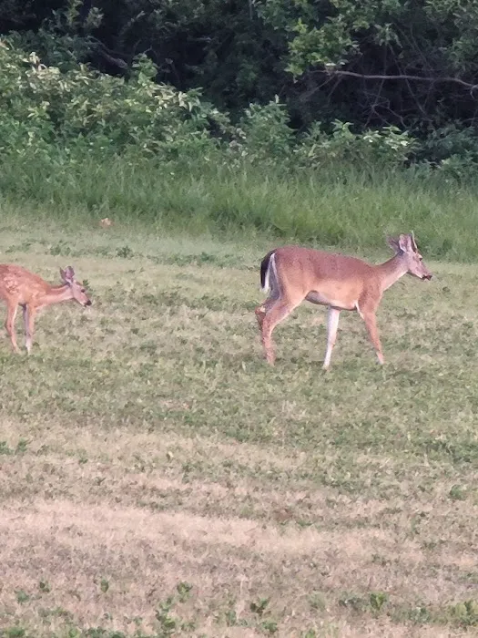 Wolf Creek Park 1