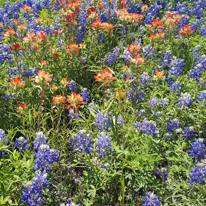 Pecan Point Park 6
