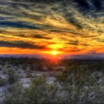 Big Bend Camp
