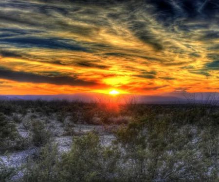 Big Bend Camp