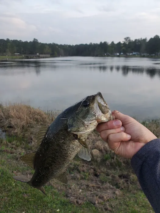 Alligator Lake RV Park 5