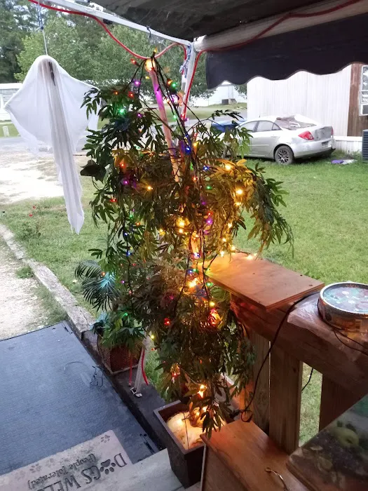 Bynog's Trailer Park 7