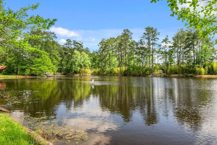 Shady Lake RV Park 8