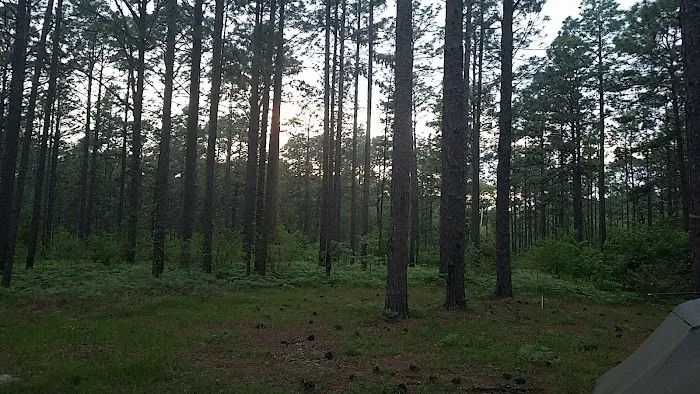 Camping Area 1