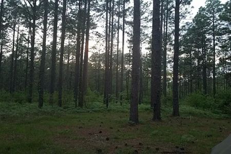 Camping Area