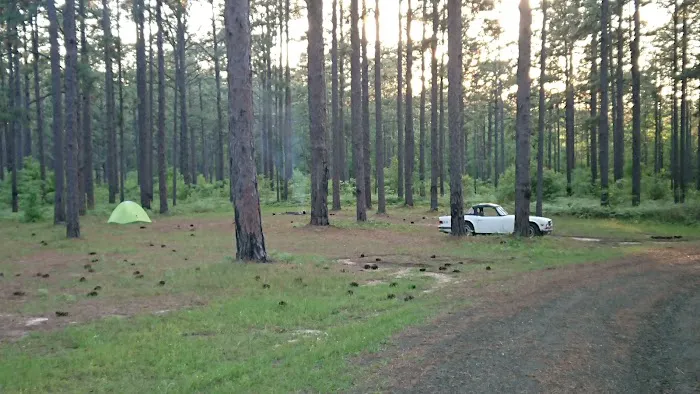 Camping Area 5