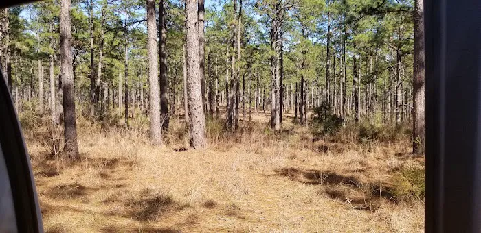 Camping Area 7