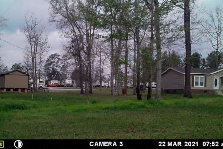 Arlington RV Park