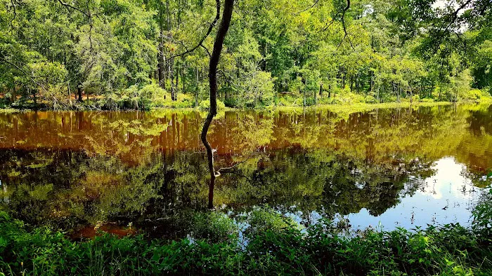 Fullerton Lake Campground 7
