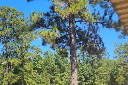 Assemblies of God Campground