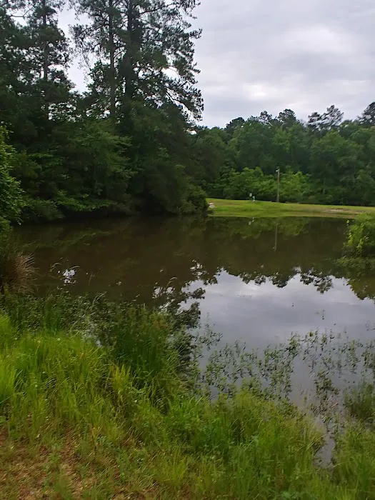Assemblies of God Campground 6