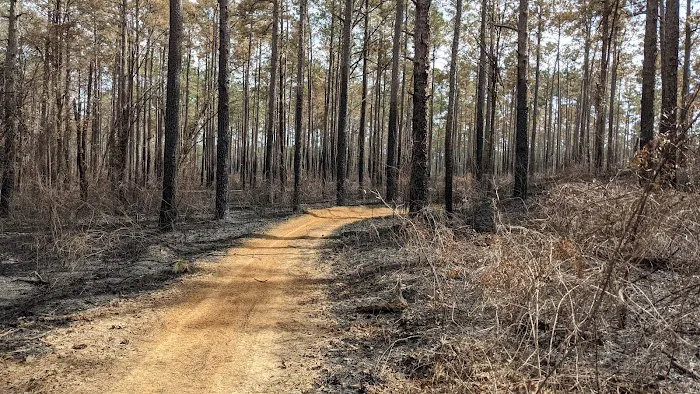 Loran Camp and Trailhead 3
