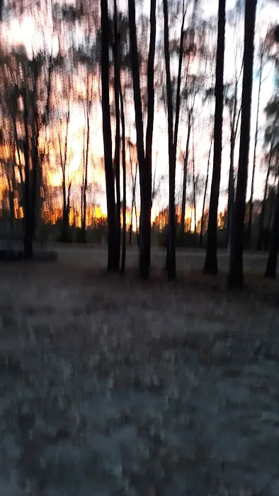 Ahtus Melder Campground 9