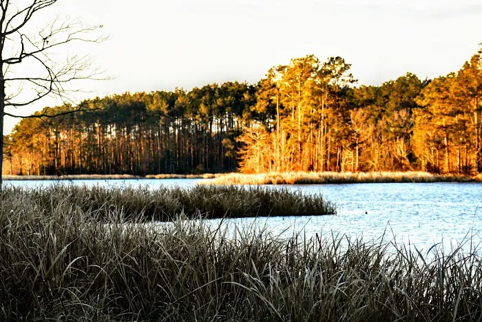 Indian Creek Recreation Area 6
