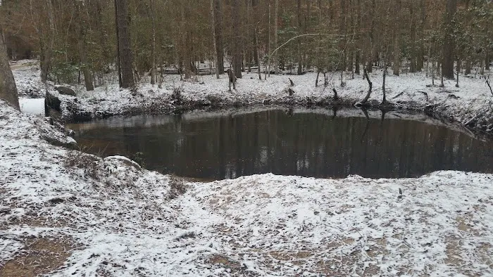Beef Trail Campground 7