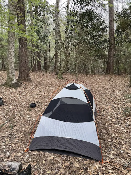 Turkey Creek Trail Campground 1