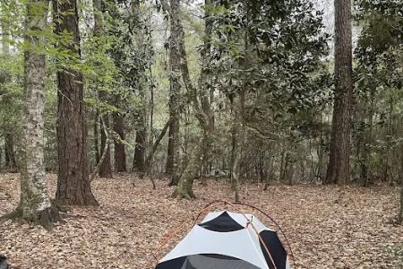 Turkey Creek Trail Campground