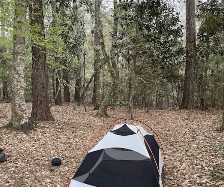 Turkey Creek Trail Campground