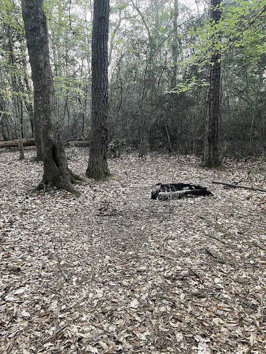 Turkey Creek Trail Campground 3
