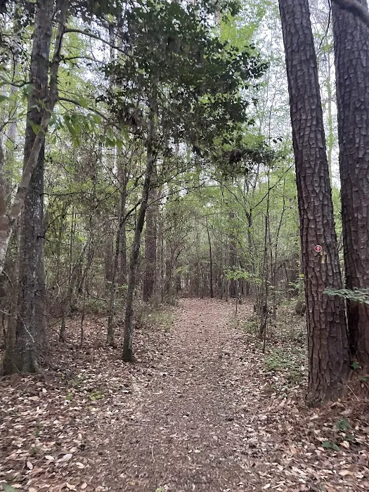 Turkey Creek Trail Campground 6
