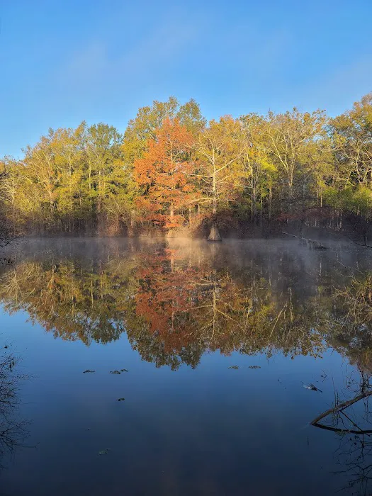 Muddy Bayou Campground 1