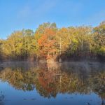 Muddy Bayou Campground