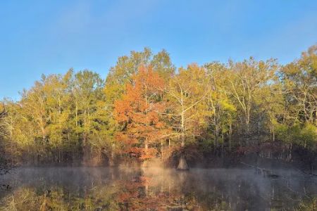 Muddy Bayou Campground