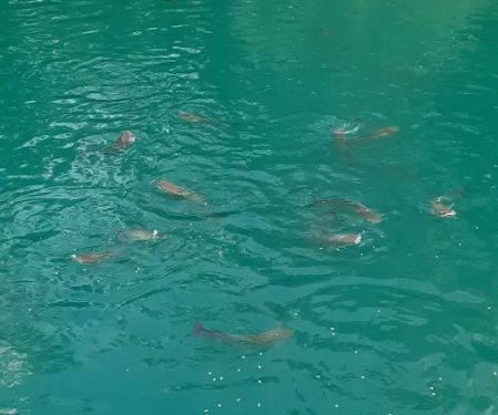 Rocking R's RV Ranch