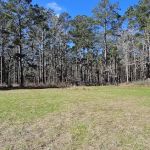 Big Woods Hunters Camp