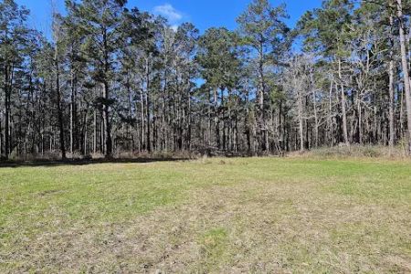 Big Woods Hunters Camp