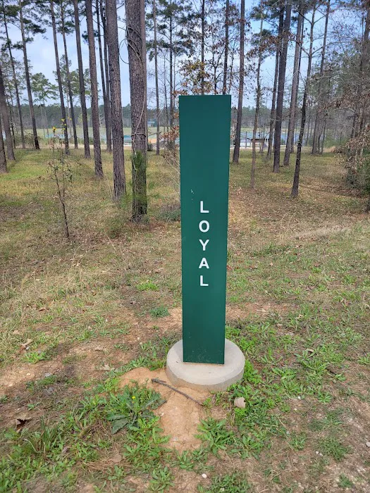 Camp Strake Campsite 19 4