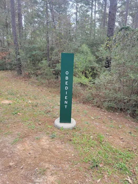 Camp Strake Campsite 19 8