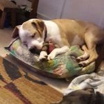 Oakdale Mobile Home Park