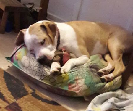 Oakdale Mobile Home Park