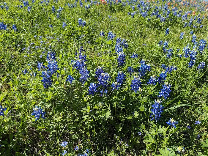Liberty Hill Park 9