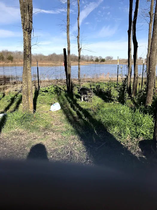 Lakeside RV Park 10