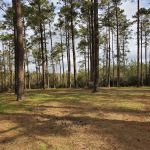 Clear Creek Camp Grounds