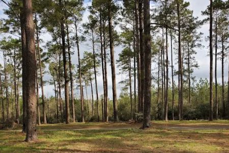 Clear Creek Camp Grounds