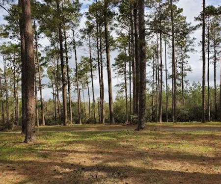 Clear Creek Camp Grounds