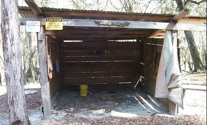 The Honey Hole 1